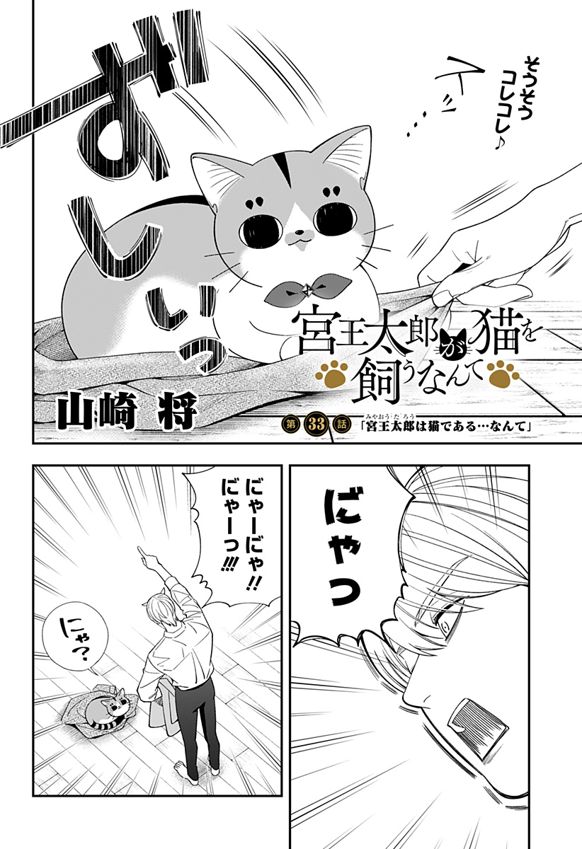 Miyaou Tarou ga Neko wo Kau Nante - Chapter 33 - Page 2